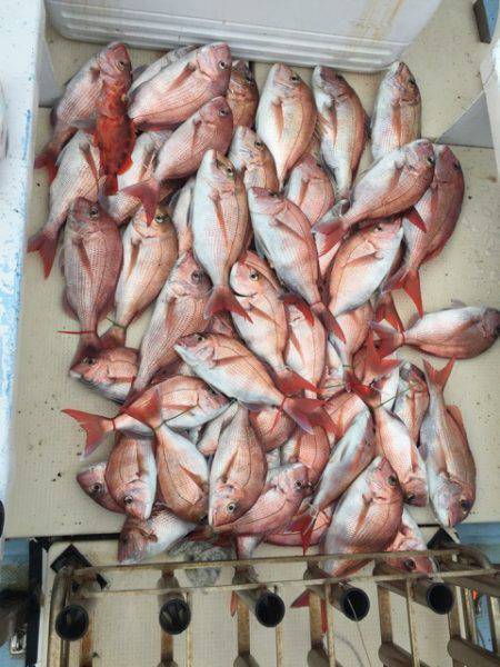 第七はやと （旧 満寿丸） 釣果