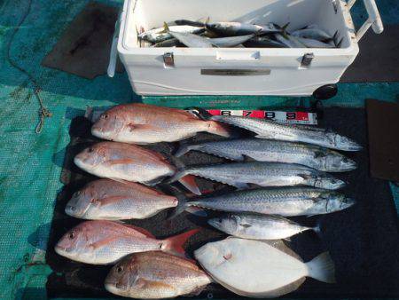 清和丸 釣果
