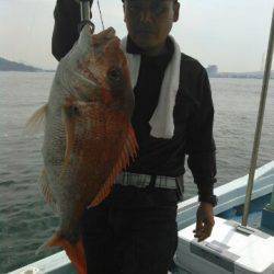 フィッシングガイド りょう 釣果