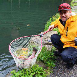 小菅トラウトガーデン 釣果