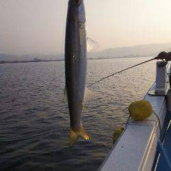 海晴丸 釣果