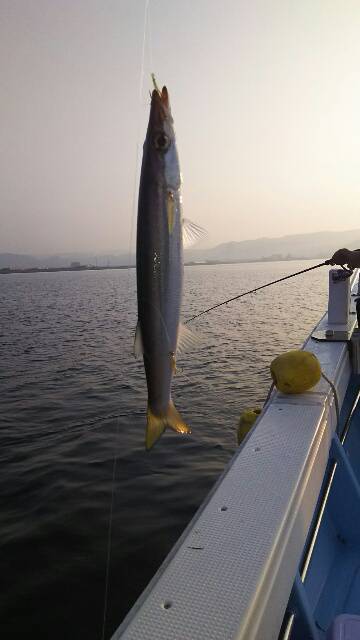 海晴丸 釣果