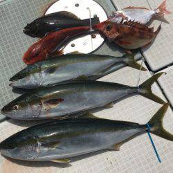 ふじしめ丸 釣果