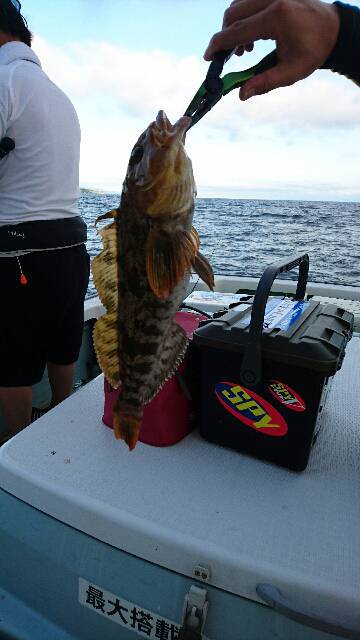 遊漁船ブルーウッズ 釣果