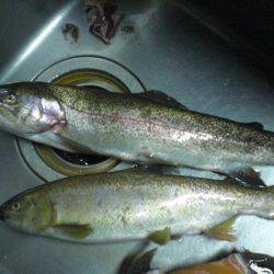 高萩ふれあいの里フィッシングエリア 釣果