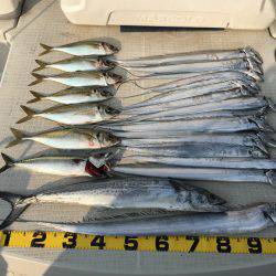 オーシャンズ 釣果