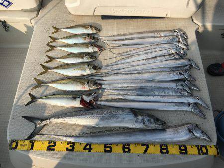 オーシャンズ 釣果