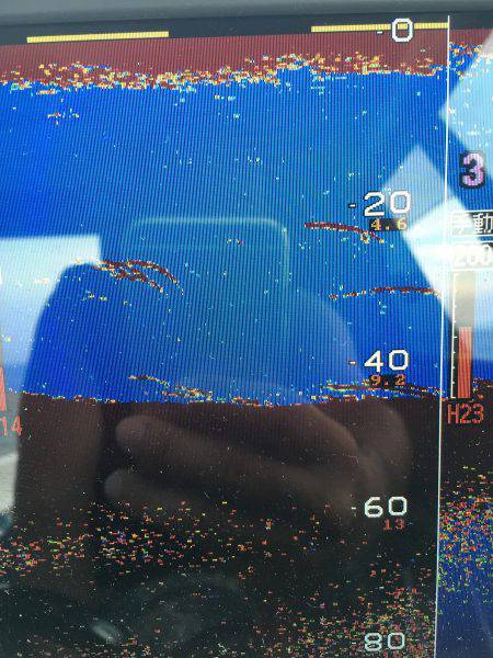 オーシャンズ 釣果