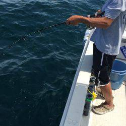 オーシャンズ 釣果