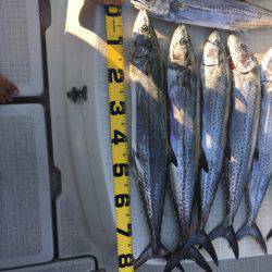 オーシャンズ 釣果