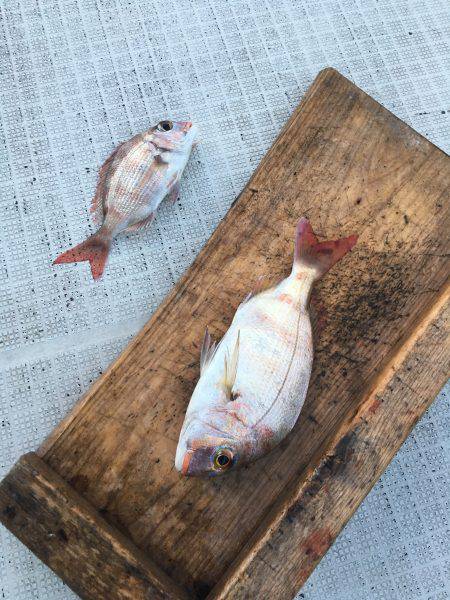 オーシャンズ 釣果