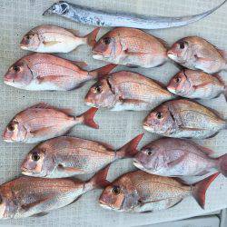 オーシャンズ 釣果