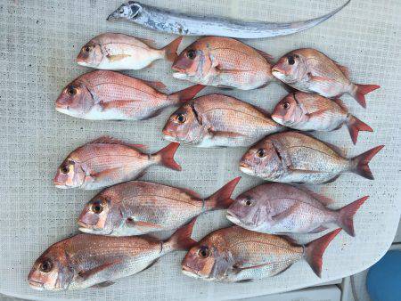 オーシャンズ 釣果