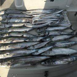 オーシャンズ 釣果