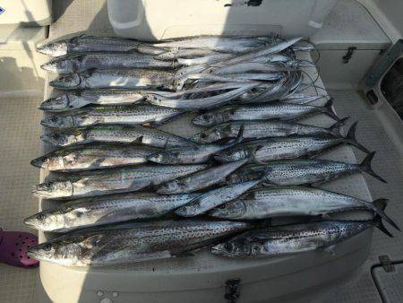 オーシャンズ 釣果