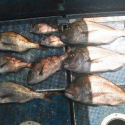 フィッシングガイド りょう 釣果