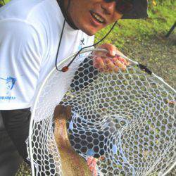 小菅トラウトガーデン 釣果