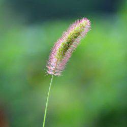 小菅トラウトガーデン 釣果