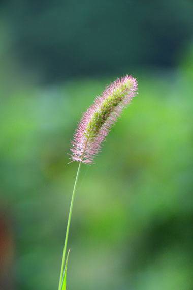 小菅トラウトガーデン 釣果