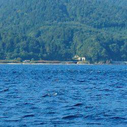 遊漁船ブルーウッズ 釣果