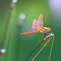 小菅トラウトガーデン 釣果