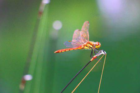 小菅トラウトガーデン 釣果