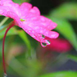 小菅トラウトガーデン 釣果