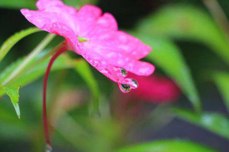 小菅トラウトガーデン 釣果