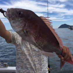 ランスルー 釣果