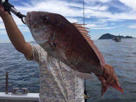 ランスルー 釣果