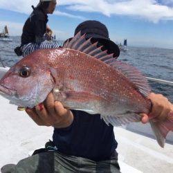 ランスルー 釣果