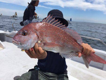 ランスルー 釣果