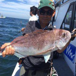 ランスルー 釣果