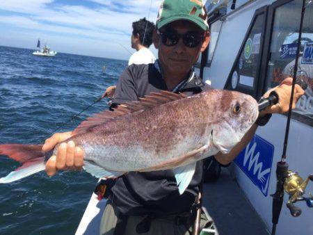 ランスルー 釣果