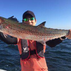 ランスルー 釣果