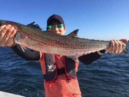 ランスルー 釣果