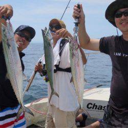 Chase(チェイス) 釣果