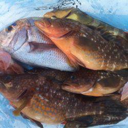 「LaGooN」蒼陽丸 日和号 釣果