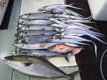 エムズジャーク（M's JERK…