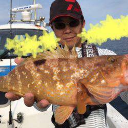 エヌスタイル 釣果