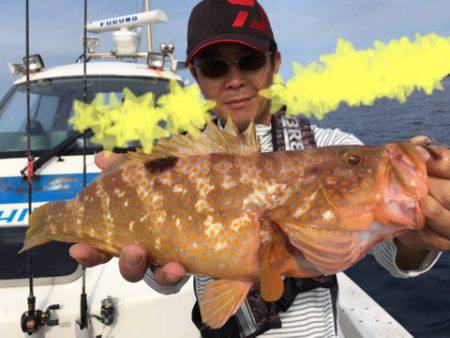 エヌスタイル 釣果