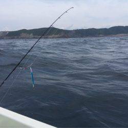 「LaGooN」蒼陽丸 日和号 釣果