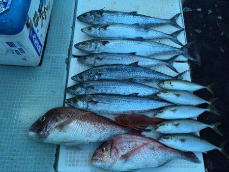 エムズジャーク（M's JERK…