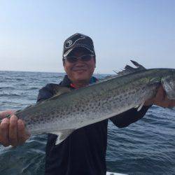 ランスルー 釣果