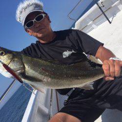 ランスルー 釣果