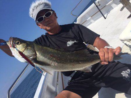 ランスルー 釣果