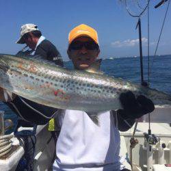 ランスルー 釣果