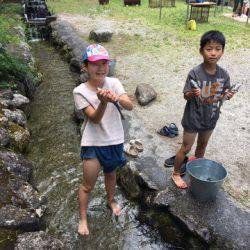 白州トラウトフィッシングエリア　シルフ 釣果