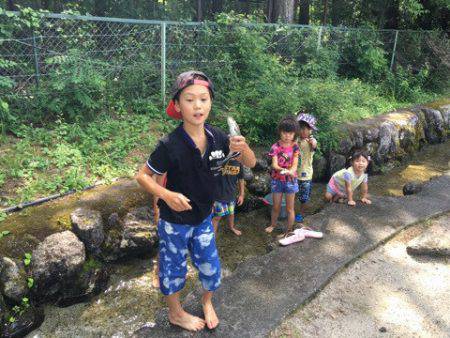 白州トラウトフィッシングエリア　シルフ 釣果