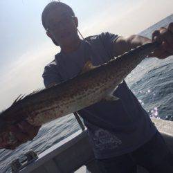 ランスルー 釣果